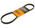 PASEK WIELOROWKOWY 4PK826ELAST SUBARU