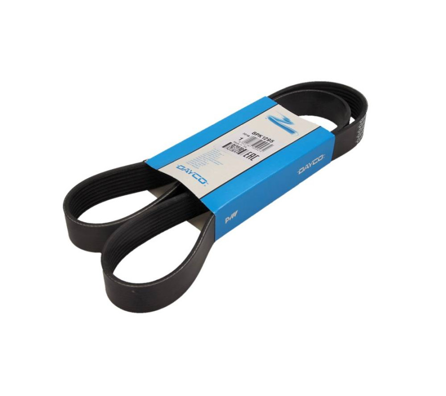 PASEK WIELOROWKOWY 8PK1295