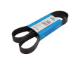 PASEK WIELOROWKOWY 8PK1295