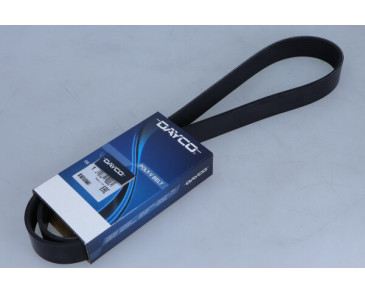 PASEK WIELOROWKOWY 8PK1295