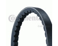 PASEK KLINOWY 13*818