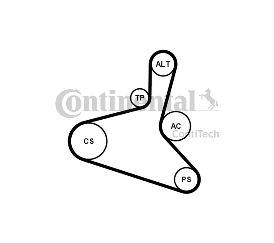 ZESTAW PASKA WIELOROWK. VW 1,6/1,8T AUDI/SEAT/SKODA