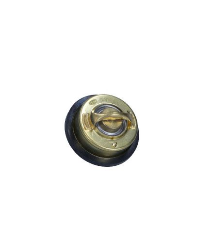 TERMOSTAT VOLVO 87C