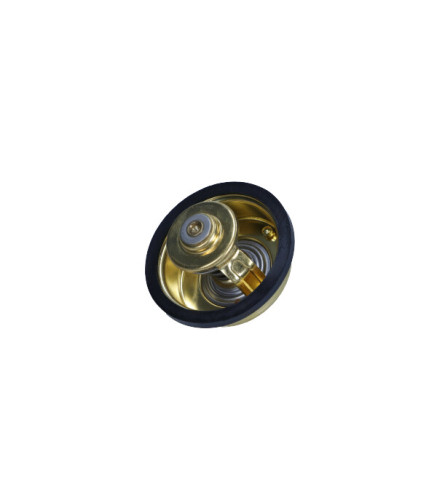 TERMOSTAT VOLVO 87C