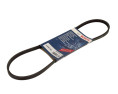 PASEK WIELOROWKOWY 3PK842 ELAST
