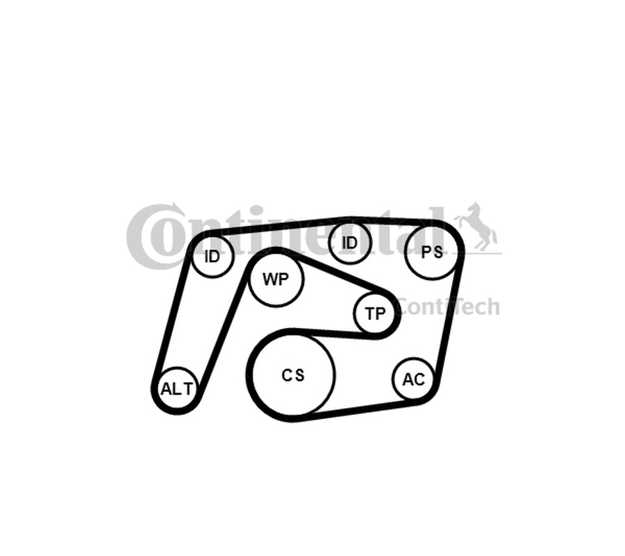 ZESTAW PASKA WIELOROWK. DB W203/204 W211 CDI