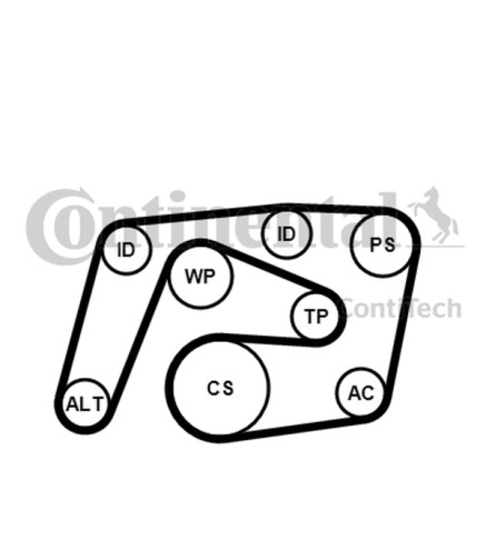 ZESTAW PASKA WIELOROWK. DB W203/204 W211 CDI