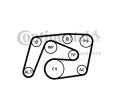 ZESTAW PASKA WIELOROWK. DB W203/204 W211 CDI