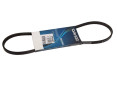 PASEK WIELOROWKOWY 3PK856EE
