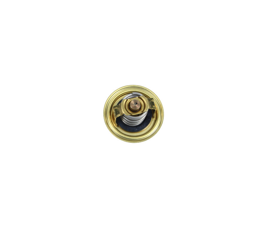 TERMOSTAT VW 82C Q5 08-