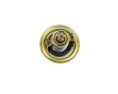 TERMOSTAT VW 82C Q5 08-