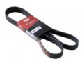 4PK738 pasek wielorowkowy