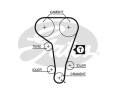 5360XS pasek rozrządu