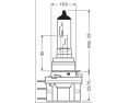 H15 15/55W 12V żarówka halogenowa