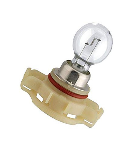 PSX24W PG20/7 12V 24W żarówka