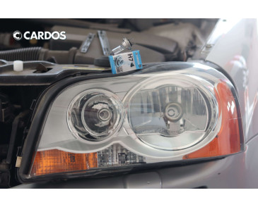 CARDOS HALOGEN H7 12V