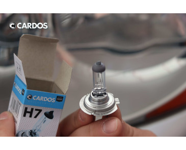 CARDOS HALOGEN H7 12V