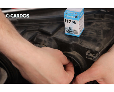 CARDOS HALOGEN H7 12V