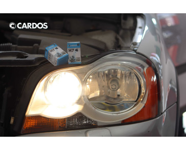 CARDOS HALOGEN H7 12V