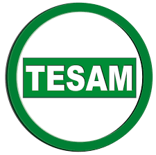 TESAM - DTS